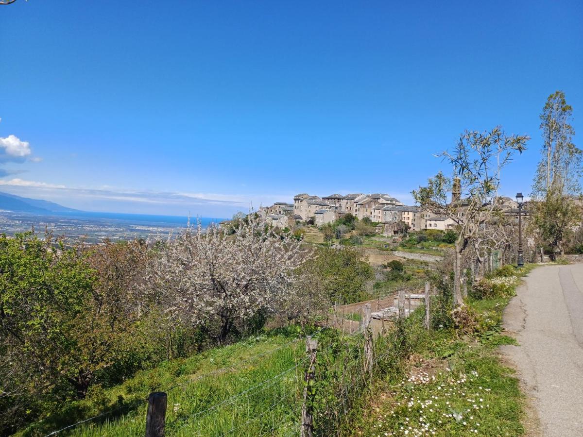 Casa Pernice Penta di Casinca Bagian luar foto