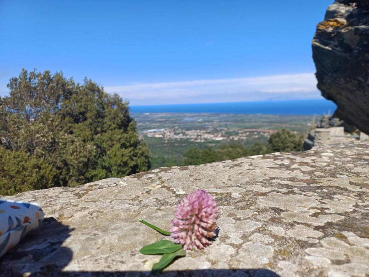 Casa Pernice Penta di Casinca Bagian luar foto